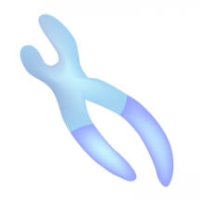 NIPTでわかる疾患にはどのようなものがあるか